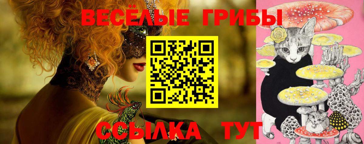 Галлюциногенные грибы Psilocybe Черногорск