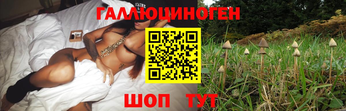 Черногорск  Псилоцибиновые грибы ЛСД  Вход с VPN 